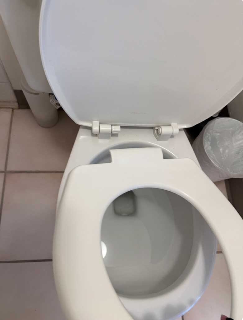 Toilet seat replacement - A last minute annoyance.